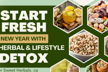 Herbal Detox to Get Healthy – Day 1